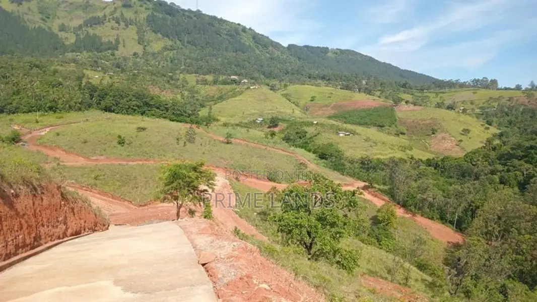 Land for Sale in Deltota