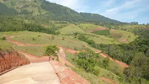 Land for Sale in Deltota