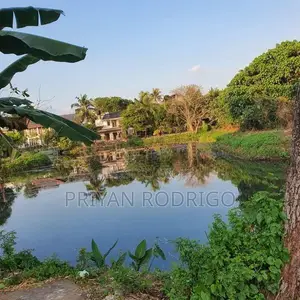 14.7 Perches of Waterfront Land for Sale in- Pitakotte