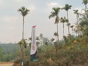 Land for sale in Nawalapitiya