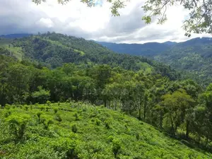 Land for Sale in Nillamba