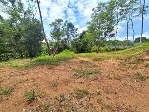 Prime Paddy Field facing scenic Residential Land for Sale in Malabe.