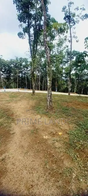 වටිනා ඉඩමක් හොරන බැල්ලපිටිය හන්දිය