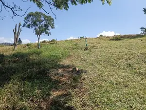 Valuable Land for sale in Pussallawa