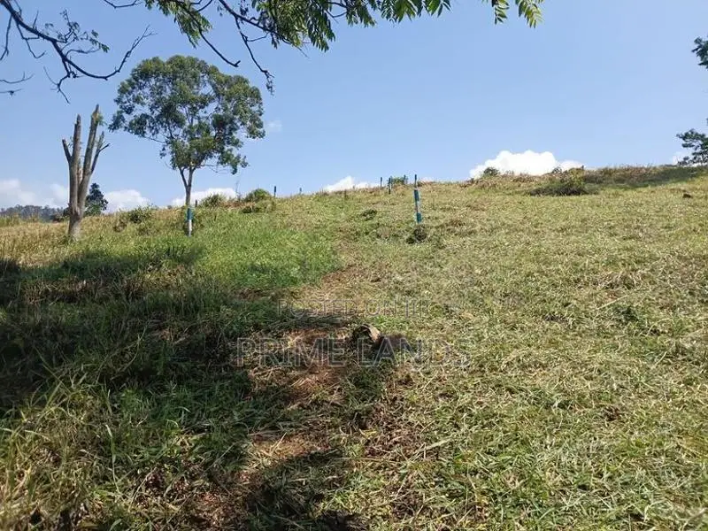Valuable Land for sale in Pussallawa