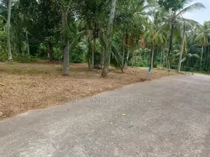 මිනුවන්ගොඩින් ඉඩමක්