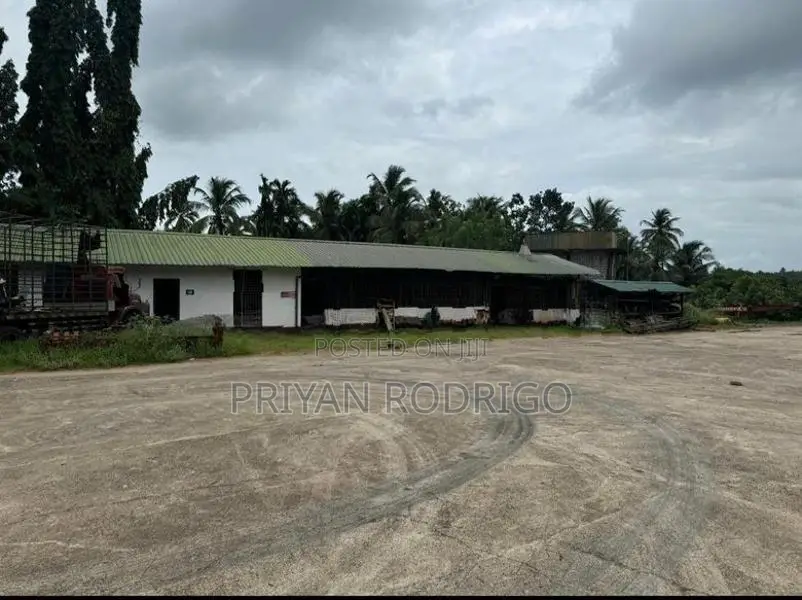 Factory for Sale In - Kuliyapitiya on 2.5 Acres of Land