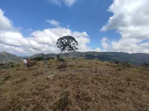 Beautiful Land Sale in Pussalawa