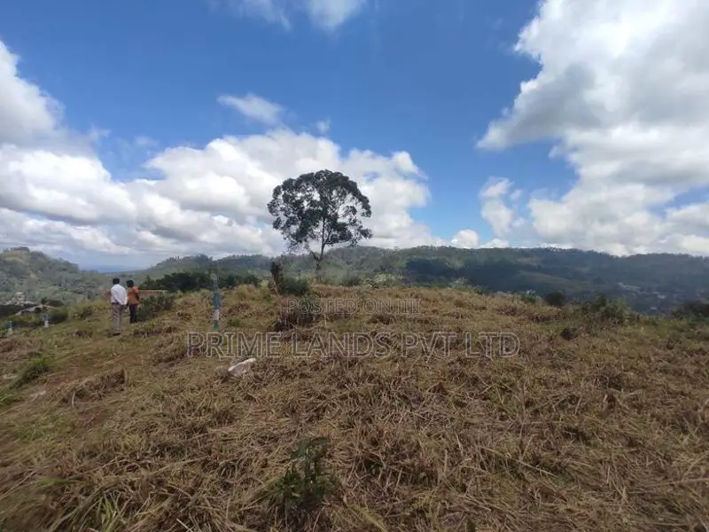Beautiful Land Sale in Pussalawa