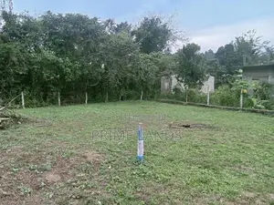 Land For Sale Dikhenapura