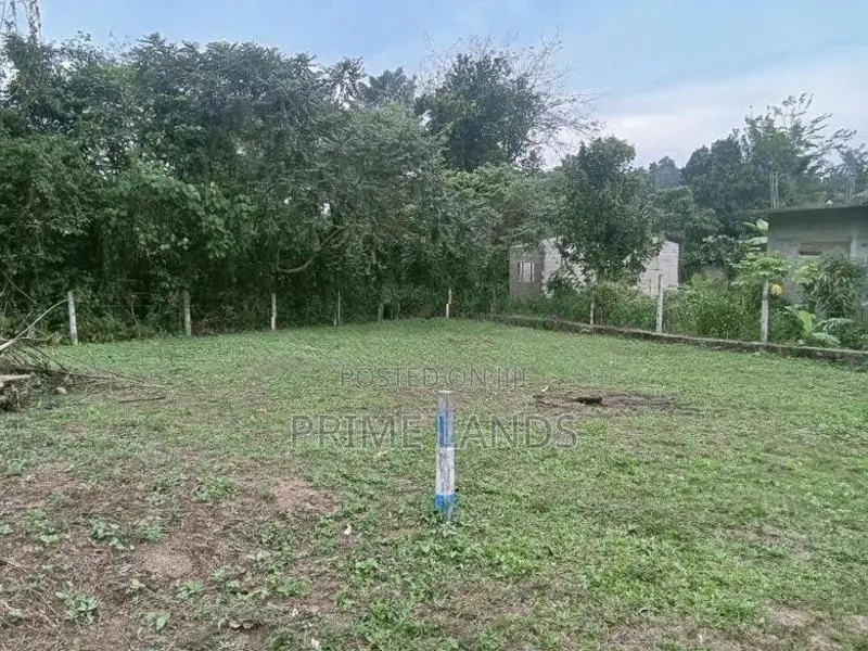 Land For Sale Dikhenapura