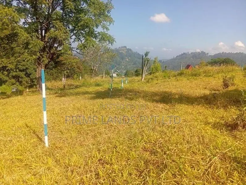 Beautiful Land Sale in Pussalawa
