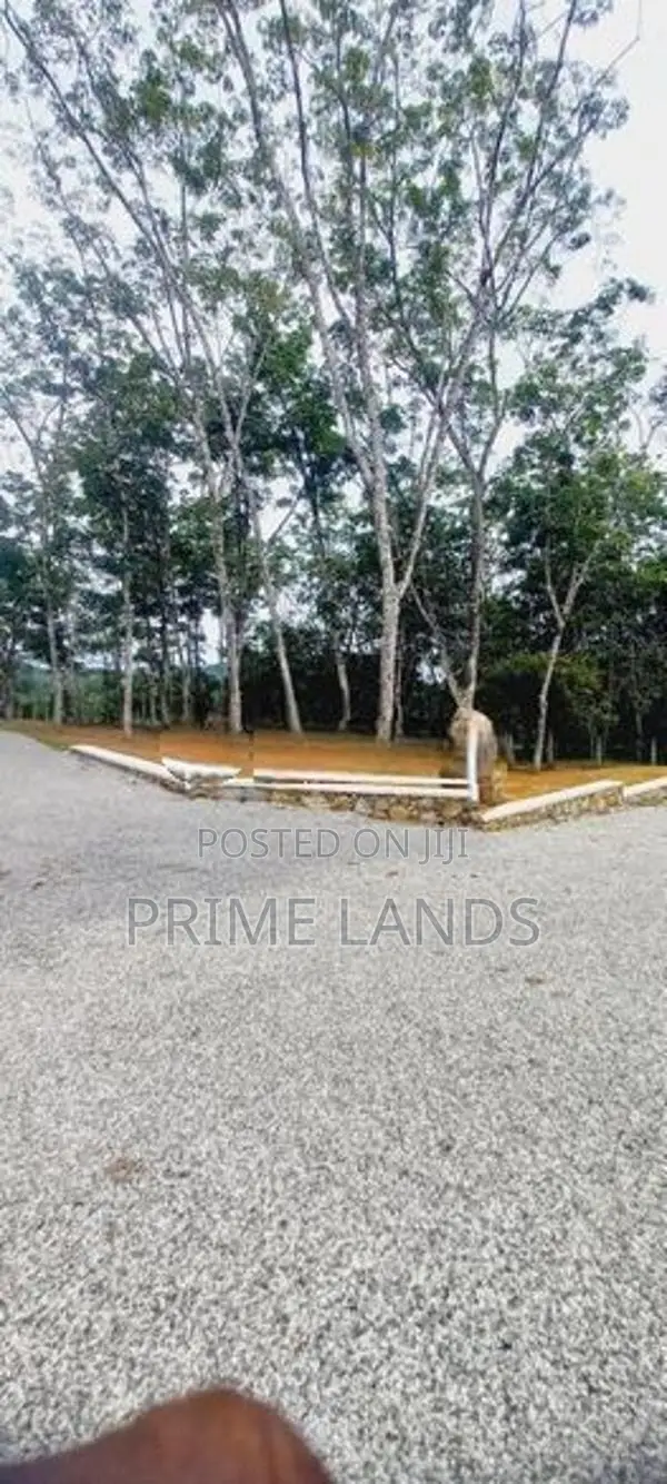 Land For Sale Bellapitiya