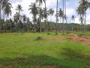 නාරම්මලින් ටවුමට ලගින් සුපිරි ඉඩමක්