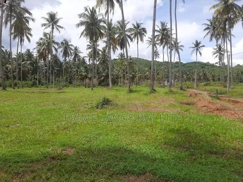 නාරම්මලින් ටවුමට ලගින් සුපිරි ඉඩමක්