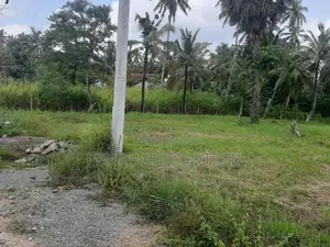 බිංගිරිය ටවුමෙන් හලාවත බස් පාරට ලගින් සුපිරි ඉඩමක්