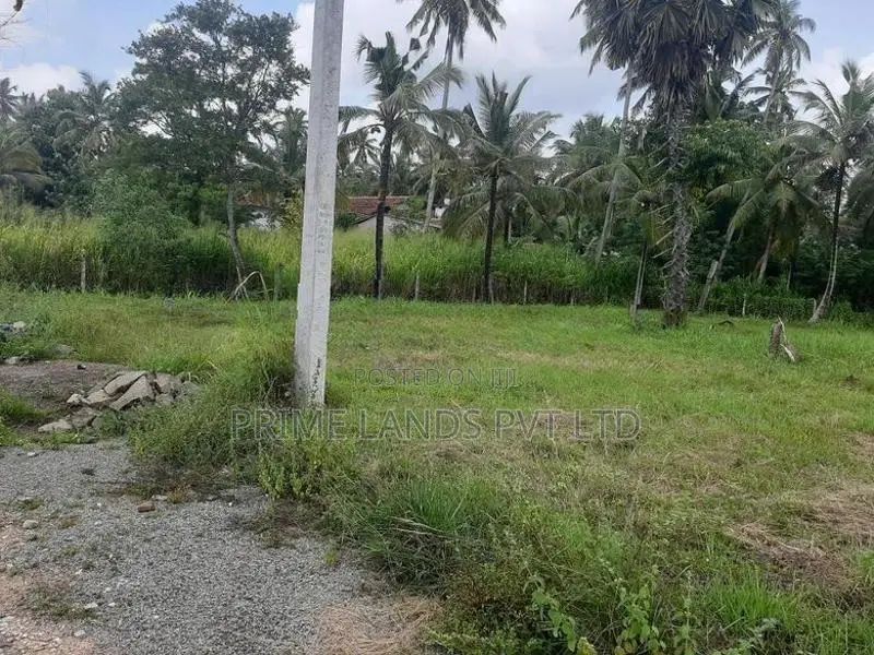 බිංගිරිය ටවුමෙන් හලාවත බස් පාරට ලගින් සුපිරි ඉඩමක්