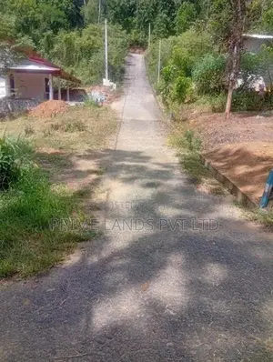Beautiful Land Sale in Nelumdeniya