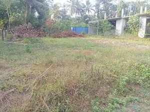 Land For Sale Dikhenapura
