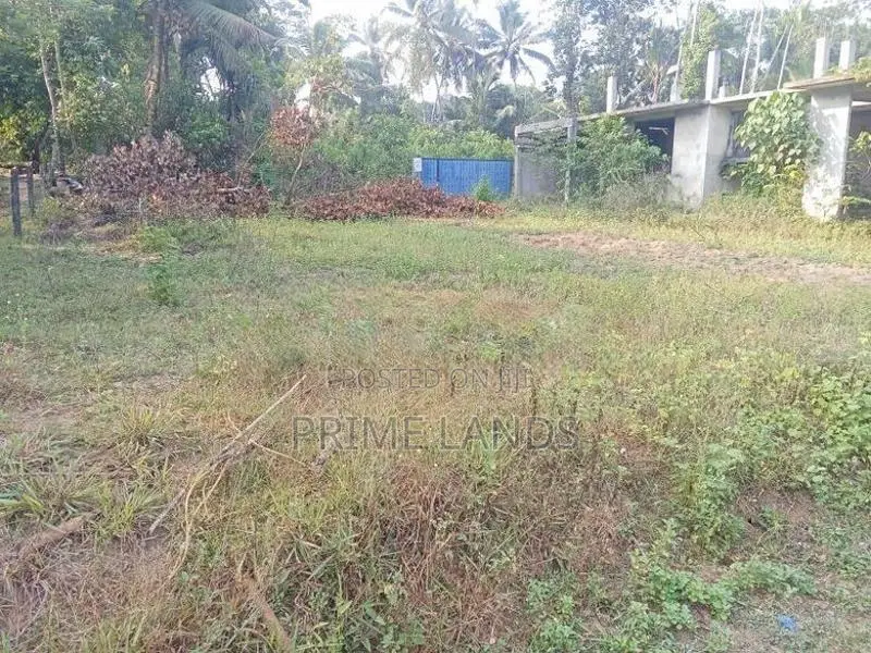Land For Sale Dikhenapura