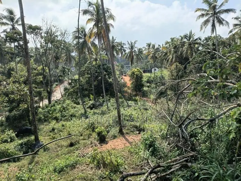 Land for sale in Gelioya