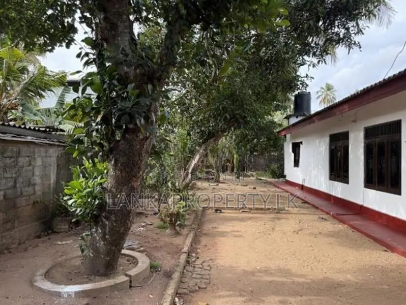 Recently Fully Renovated Single Storied House for Sale in Seeduwa.