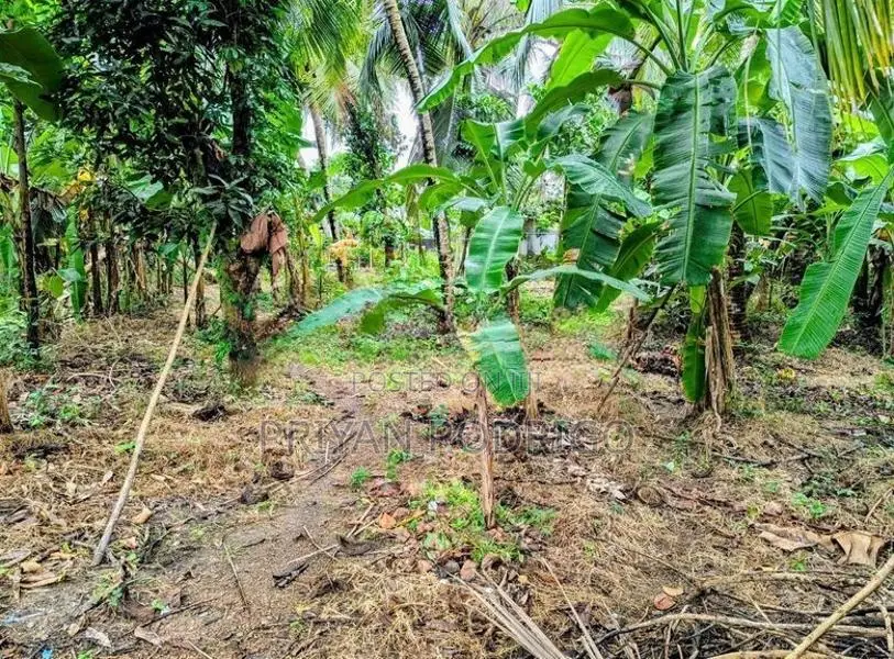 Polwatta Pannipitiya 47 Perches of Land for Sale