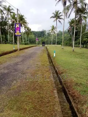 හොරන නගරයෙන් වටිනා ඉඩමක්