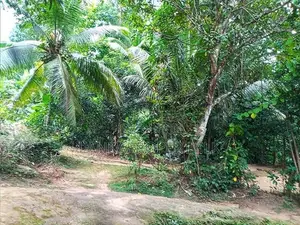 Prime Land with House for Sale – Galagedara (Facing Main Road)