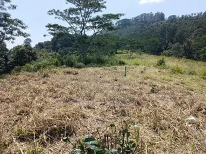 Valuable Land for sale in Pussallawa