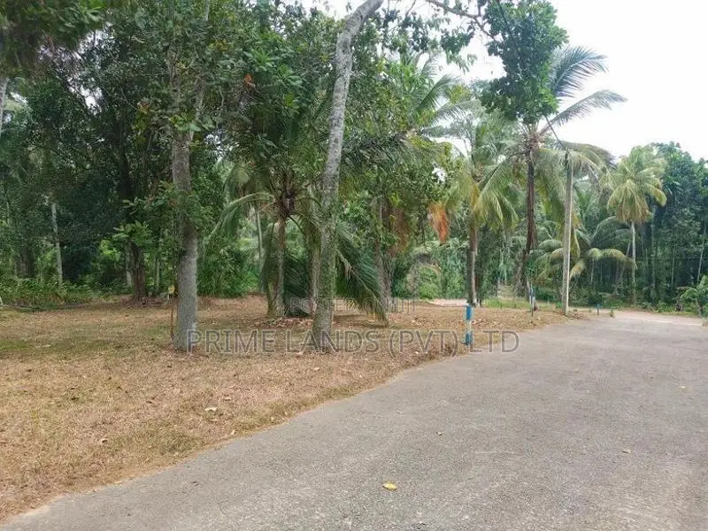 මිනුවන්ගොඩින් ඉඩමක්