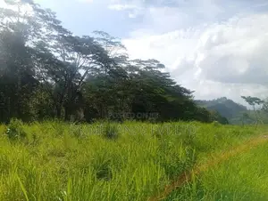 Beautiful land in pussalawa