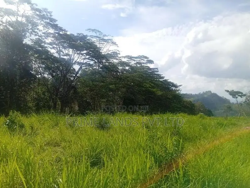 Beautiful land in pussalawa