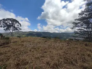 Beautiful Land Sale in Pussalawa