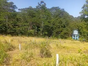 Beautiful Land Sale in Pussalawa