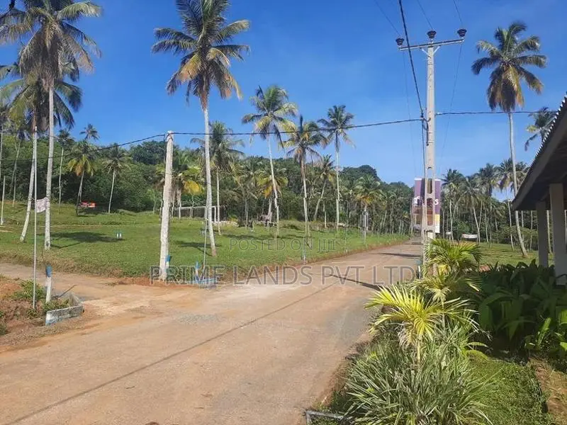 නාරම්මලින් ටවුමට ලගින් සුපිරි ඉඩමක්