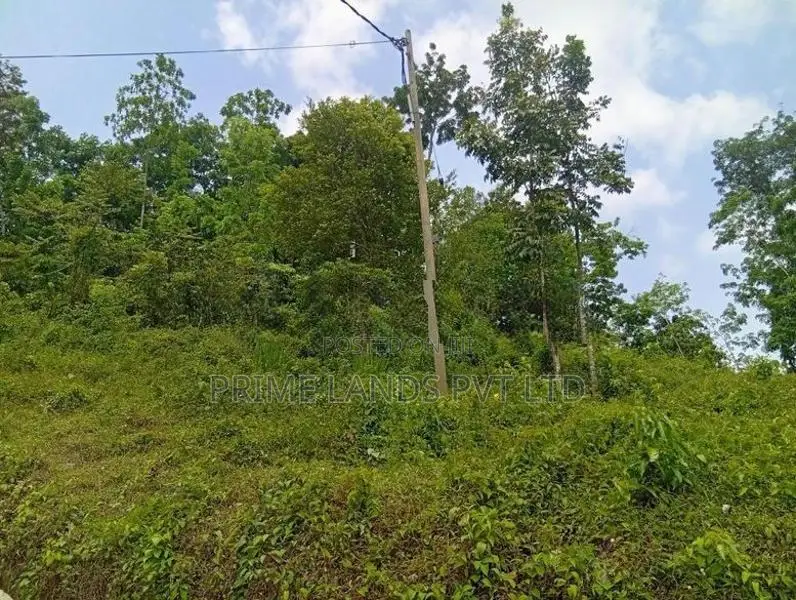 Beautiful Land Sale in Nelumdeniya