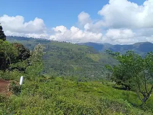 Beautiful Land Plots in Pudaluoya