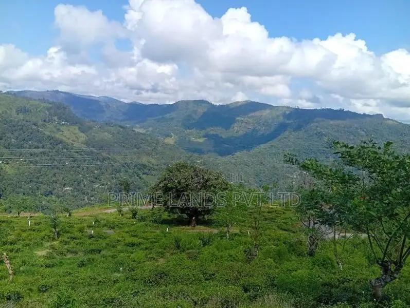 Beautiful Land in Pudaluoya