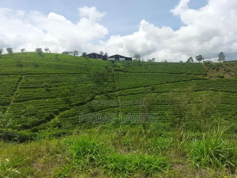 Land for Sale in Hatton