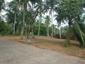 මිනුවන්ගොඩින් ඉඩමක්
