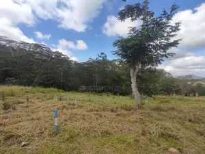 Beautiful Land Sale in Pussalawa