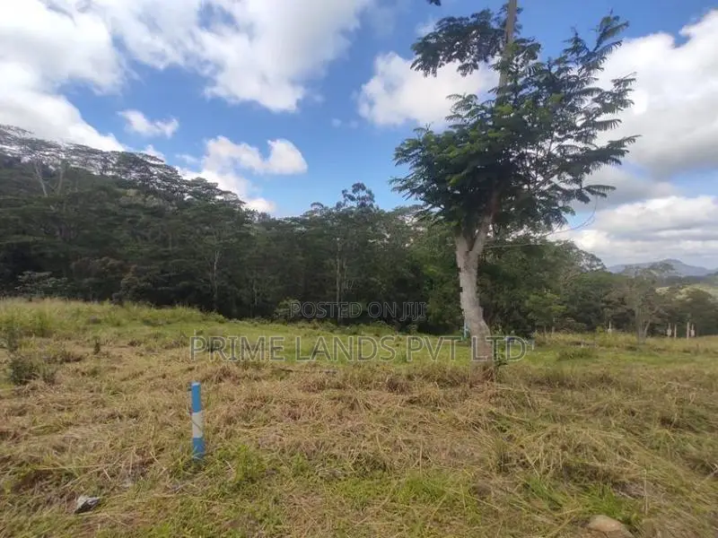 Beautiful Land Sale in Pussalawa