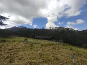 Beautiful Land in Pussalawa