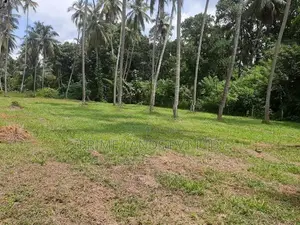 නාරම්මලින් ටවුමට ලගින් සුපිරි ඉඩමක්