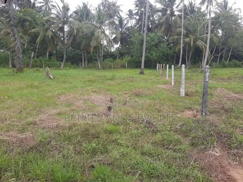 බිංගිරිය ටවුමෙන් හලාවත බස් පාරට ලගින් සුපිරි ඉඩමක්