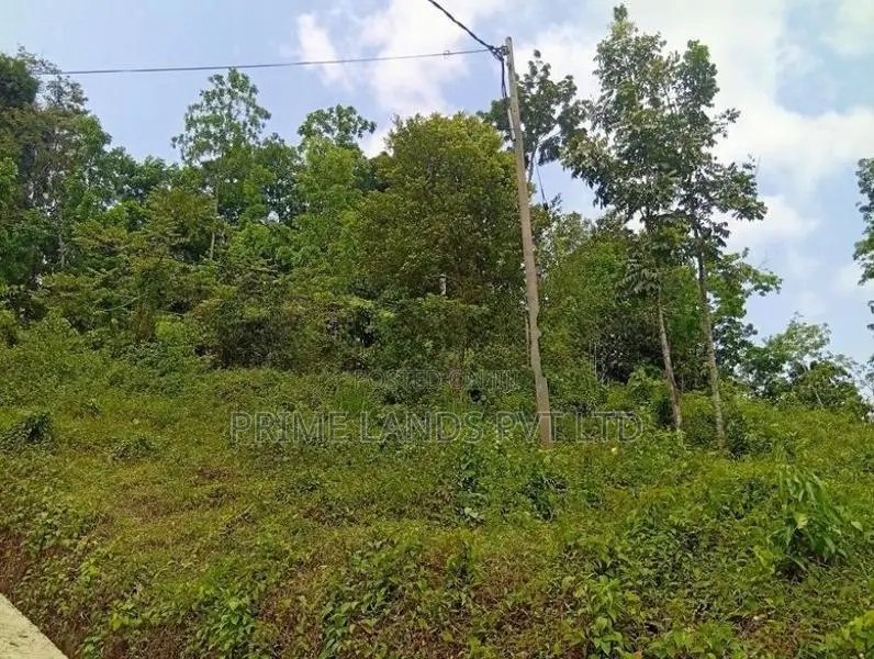Beautiful Land Sale in Nelumdeniya