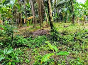 Polwatta Pannipitiya 47 Perches of Land for Sale