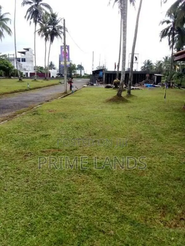 හොරන නගරයෙන් වටිනා ඉඩමක්