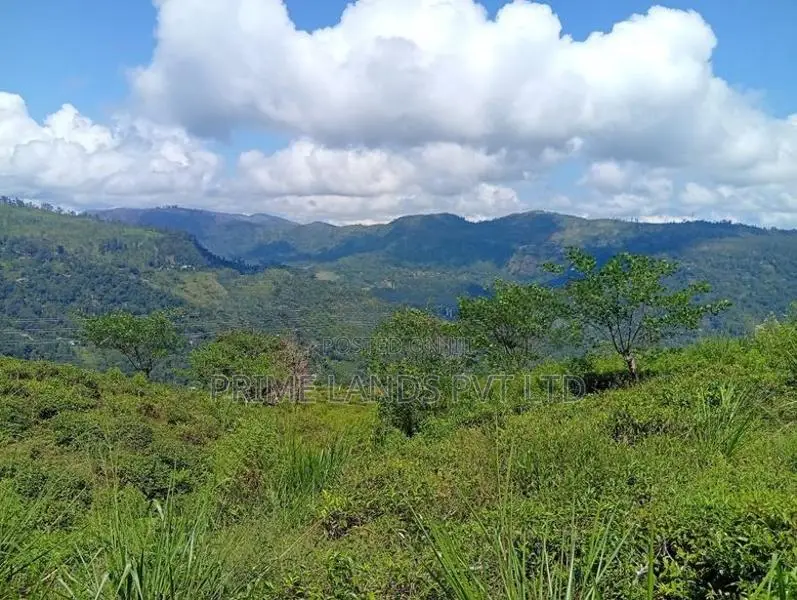 Beautiful Land in Pudaluoya